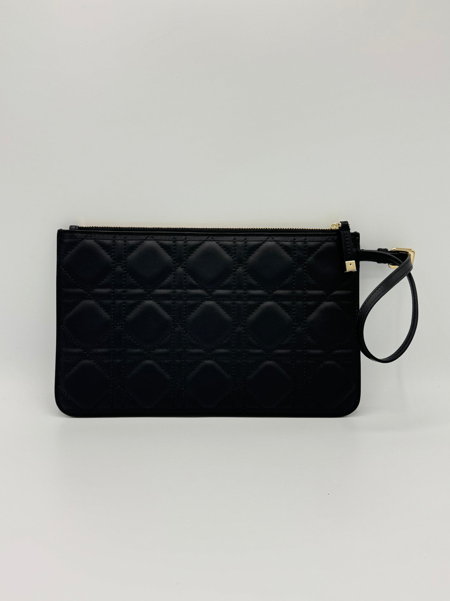 Pochette Daily Dior