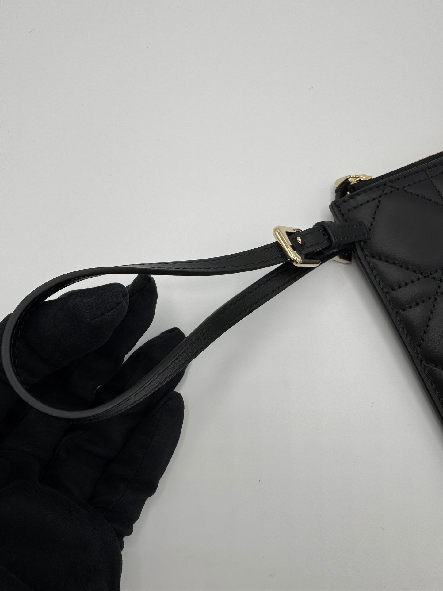 Pochette Daily Dior