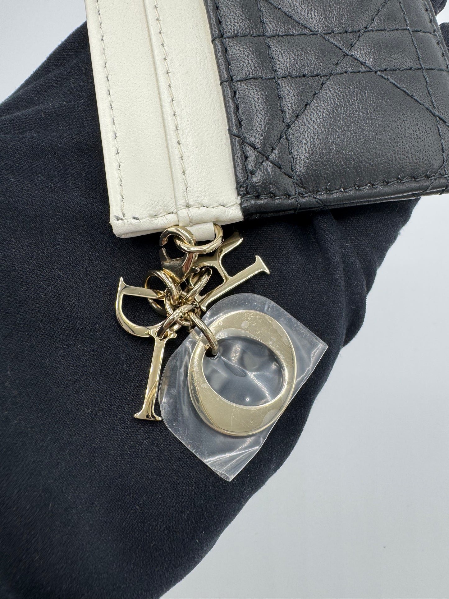 Portacarte Dior